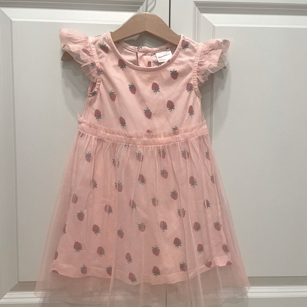 Hanna Andersson Strawberry Tulle